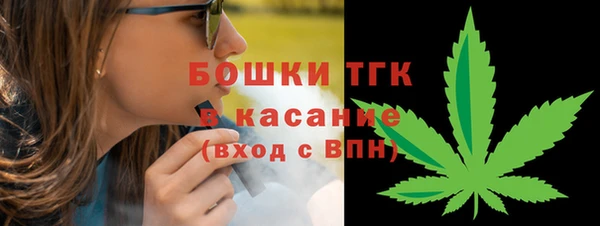 гидра Киреевск