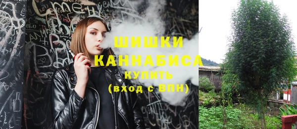 гидра Киреевск