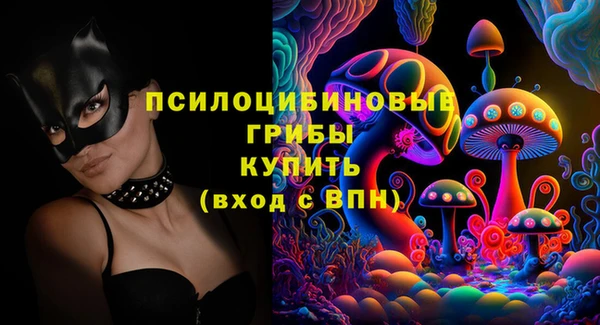 гидра Киреевск