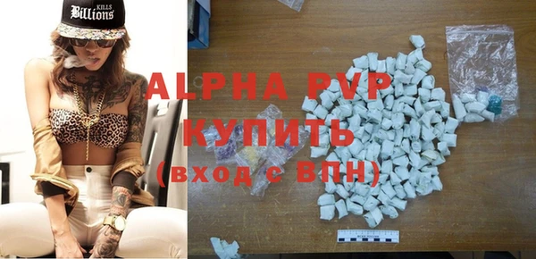 ПСИЛОЦИБИНОВЫЕ ГРИБЫ Козловка