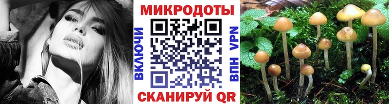 МЕГА ссылки Козловка Псилоцибиновые грибы мицелий